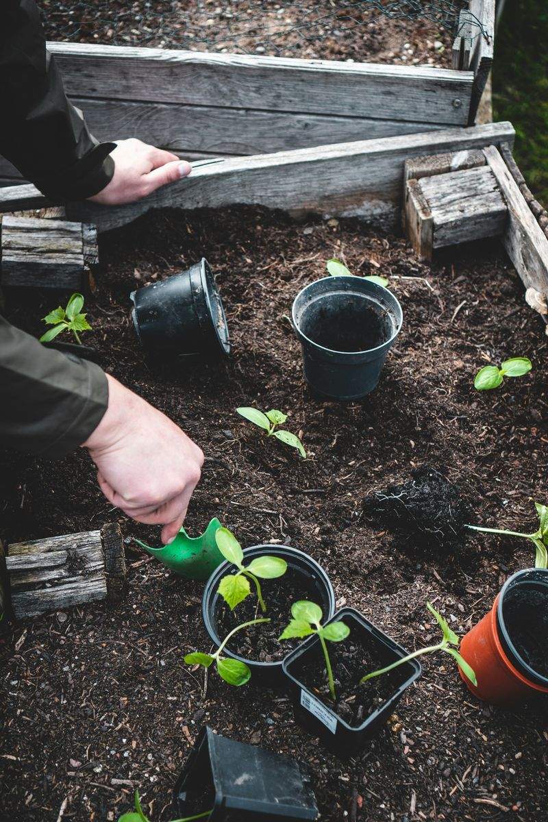 Éclat Vert Jardinage